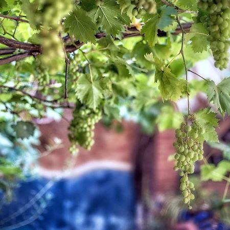 셰프샤우엔 Dar Baibou B&B 외부 사진